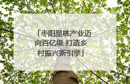 枣阳皇桃产业迈向百亿级 打造乡村振兴新引擎