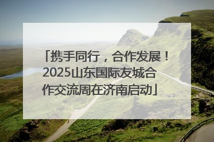 携手同行，合作发展！2025山东国际友城合作交流周在济南启动