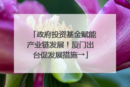政府投资基金赋能产业链发展！厦门出台促发展措施→