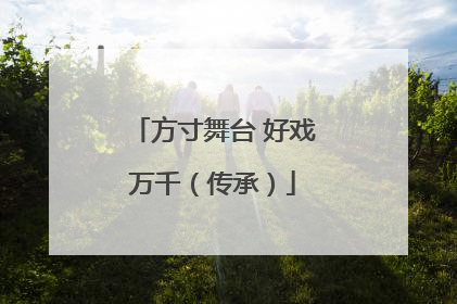 方寸舞台 好戏万千（传承）