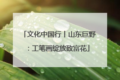 文化中国行丨山东巨野：工笔画绽放致富花