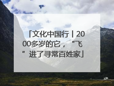 文化中国行丨2000多岁的它，“飞”进了寻常百姓家