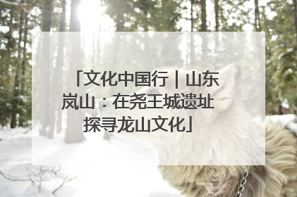 文化中国行｜山东岚山：在尧王城遗址探寻龙山文化