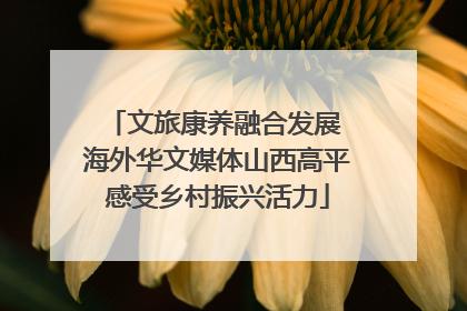 文旅康养融合发展 海外华文媒体山西高平感受乡村振兴活力