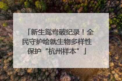 新生鸳鸯破纪录！全民守护绘就生物多样性保护“杭州样本”