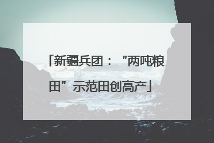 新疆兵团：“两吨粮田”示范田创高产