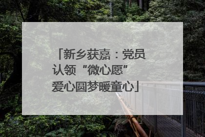 新乡获嘉：党员认领“微心愿” 爱心圆梦暖童心