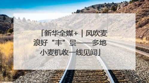 新华全媒+｜风吹麦浪好“丰”景——多地小麦机收一线见闻