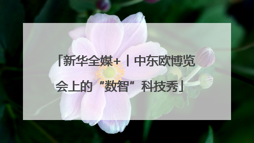 新华全媒+丨中东欧博览会上的“数智”科技秀