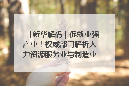 新华解码｜促就业强产业！权威部门解析人力资源服务业与制造业融合发展试点
