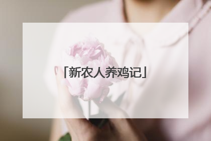 新农人养鸡记
