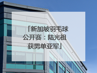 新加坡羽毛球公开赛：陆光祖获男单亚军