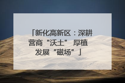新化高新区：深耕营商“沃土” 厚植发展“磁场”