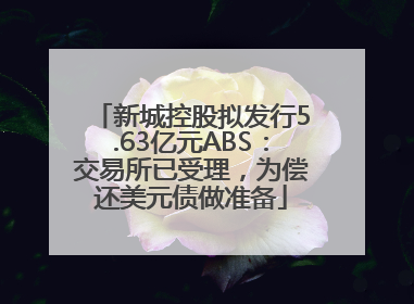 新城控股拟发行5.63亿元ABS：交易所已受理，为偿还美元债做准备