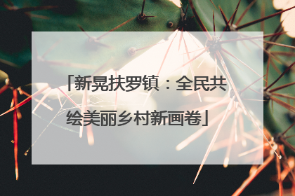 新晃扶罗镇：全民共绘美丽乡村新画卷