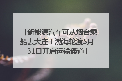 新能源汽车可从烟台乘船去大连！渤海轮渡5月31日开启运输通道