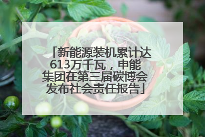 新能源装机累计达613万千瓦，申能集团在第三届碳博会发布社会责任报告