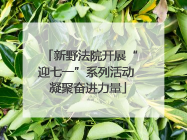 新野法院开展“迎七一”系列活动 凝聚奋进力量