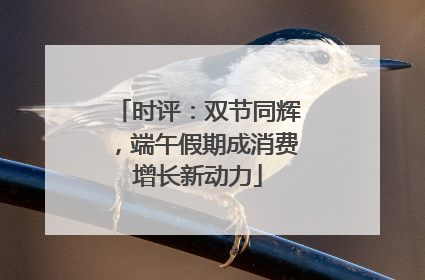 时评：双节同辉，端午假期成消费增长新动力