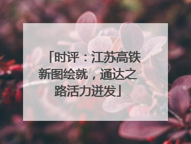 时评：江苏高铁新图绘就，通达之路活力迸发
