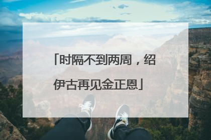 时隔不到两周，绍伊古再见金正恩