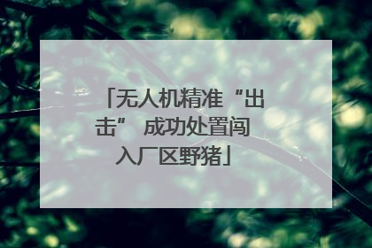 无人机精准“出击” 成功处置闯入厂区野猪