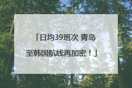日均39班次 青岛至韩国航线再加密！