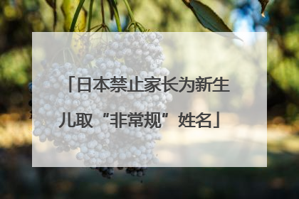 日本禁止家长为新生儿取“非常规”姓名