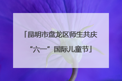 昆明市盘龙区师生共庆“六一”国际儿童节