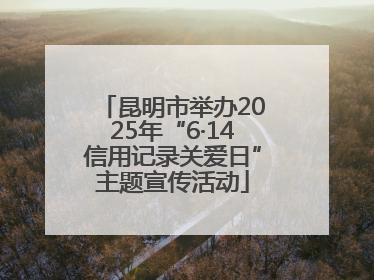 昆明市举办2025年“6·14信用记录关爱日”主题宣传活动