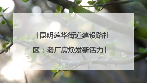 昆明莲华街道建设路社区：老厂房焕发新活力