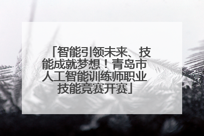 智能引领未来、技能成就梦想！青岛市人工智能训练师职业技能竞赛开赛