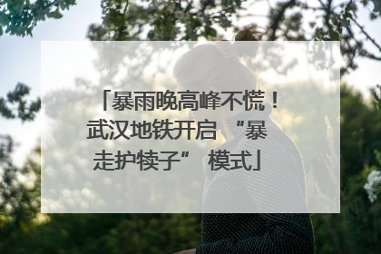 暴雨晚高峰不慌！武汉地铁开启 “暴走护犊子” 模式