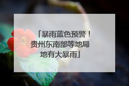 暴雨蓝色预警！贵州东南部等地局地有大暴雨