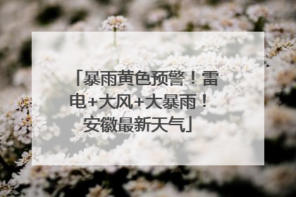 暴雨黄色预警！雷电+大风+大暴雨！安徽最新天气