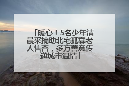 暖心！5名少年清晨采摘助北宅孤寡老人售杏，多方善意传递城市温情