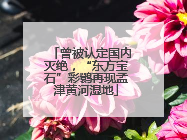 曾被认定国内灭绝，“东方宝石”彩鹮再现孟津黄河湿地