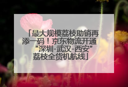 最大规模荔枝助销再添一码！京东物流开通“深圳-武汉-西安” 荔枝全货机航线