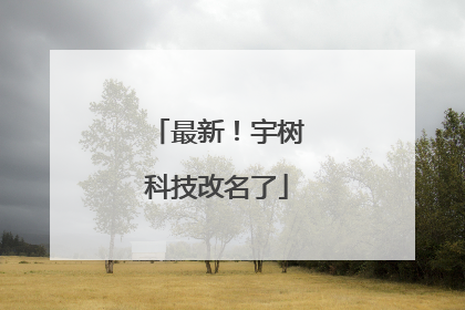 最新！宇树科技改名了