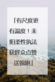 有尺度更有温度！耒阳柔性执法获群众点赞送锦旗