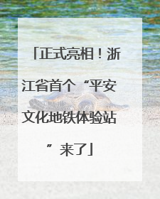 正式亮相！浙江省首个“平安文化地铁体验站”来了