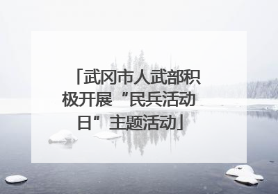 武冈市人武部积极开展“民兵活动日”主题活动