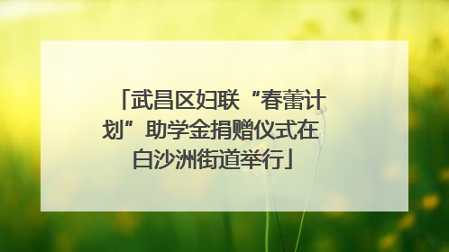 武昌区妇联“春蕾计划”助学金捐赠仪式在白沙洲街道举行