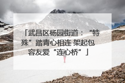 武昌区杨园街道：“特殊”踏青心相连 架起包容友爱“连心桥”