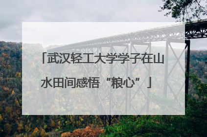 武汉轻工大学学子在山水田间感悟“粮心”