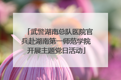 武警湖南总队医院官兵赴湖南第一师范学院开展主题党日活动
