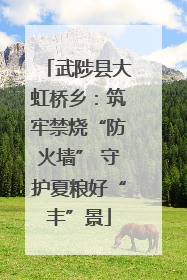 武陟县大虹桥乡：筑牢禁烧“防火墙” 守护夏粮好“丰”景