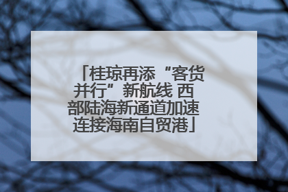 桂琼再添“客货并行”新航线 西部陆海新通道加速连接海南自贸港