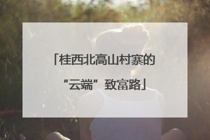 桂西北高山村寨的“云端”致富路