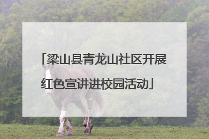 梁山县青龙山社区开展红色宣讲进校园活动